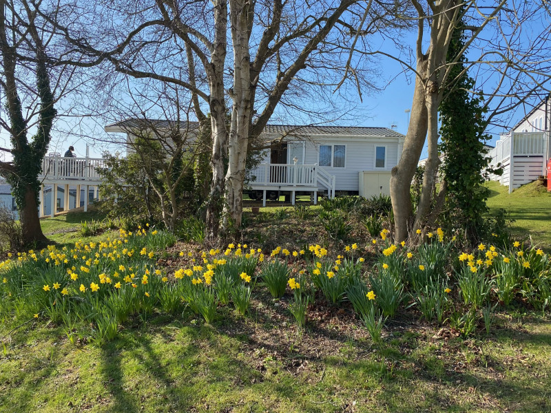 Willerby Pinehurst 2018 lodge for sale sited at Bembridge, Isle Of Wight